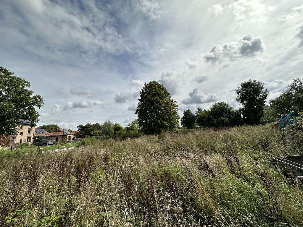 A VENDRE : Terrain de 10A83ca situé au calme à Wadelincourt